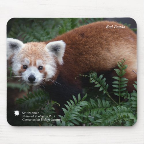 Smithsonian  Red Panda Mouse Pad