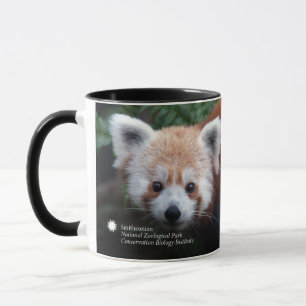 Smithsonian Red Panda Mug