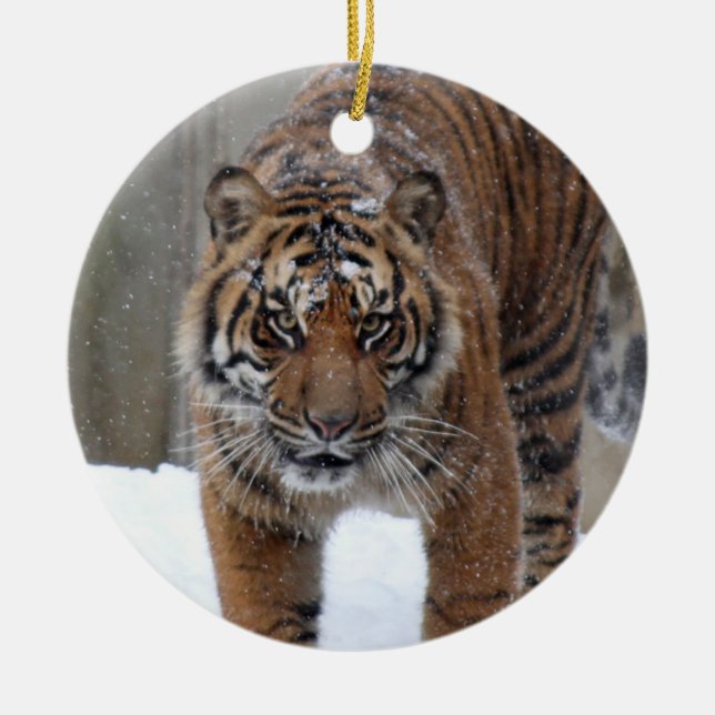 Smithsonian | Sumatran Tiger Damai Ceramic Ornament (Front)