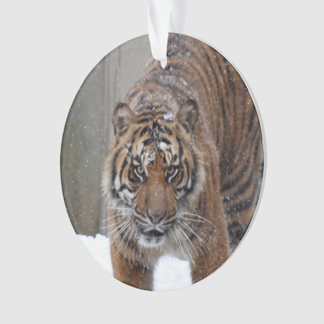 Smithsonian | Sumatran Tiger Damai Ornament (Front)