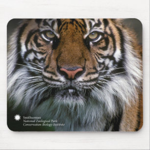 Smithsonian   Sumatran Tiger Soyono Mouse Pad