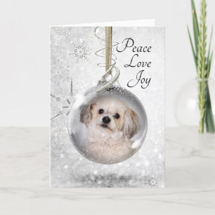 Smitty Ornament Holiday Card