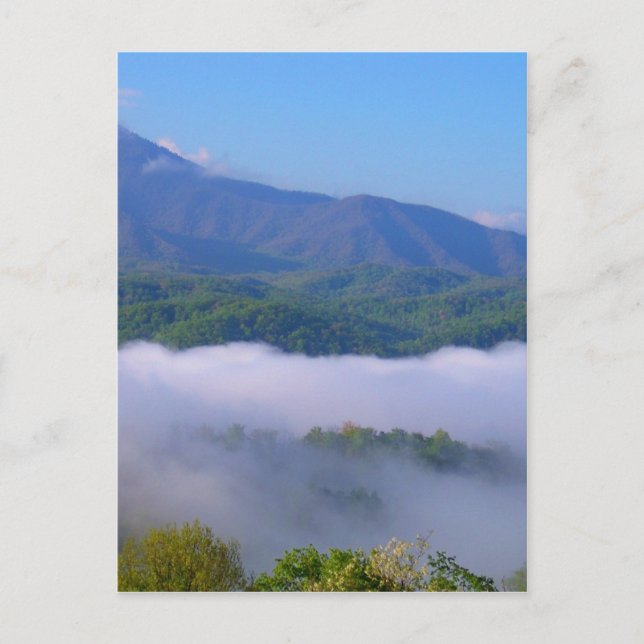 Smoke Postcard (Front)