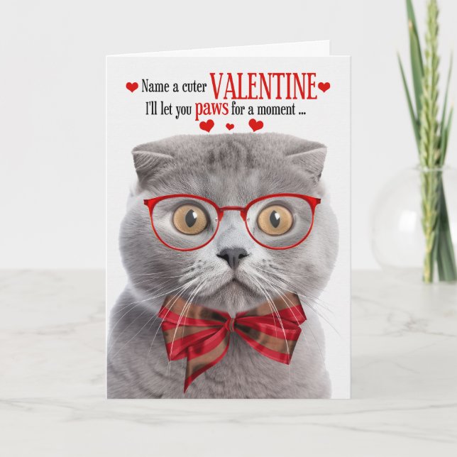 Smoke Scottish Fold Cat Valentine Feline Humor Holiday Card (Front)