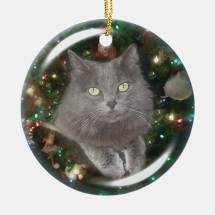 Smokey Gray Cat Ceramic Ornament | Zazzle