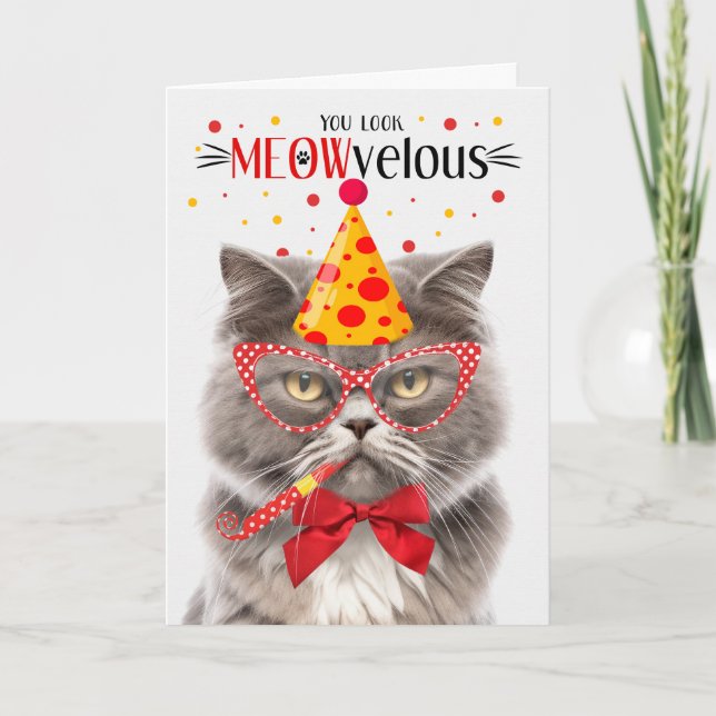 Smokey Gray Persian Cat MEOWvelous Birthday Card (Front)