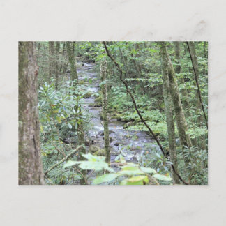 smokey mountain stream postcard