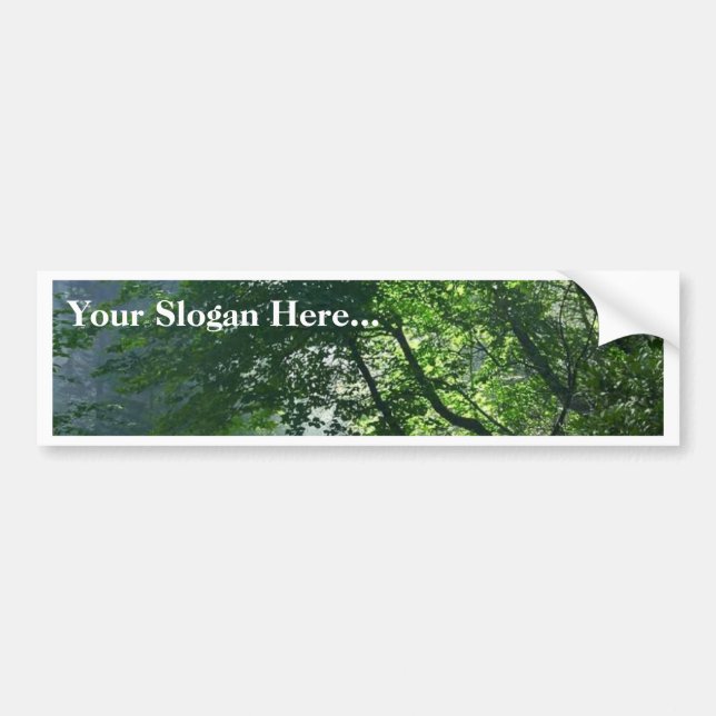 Smokey Paths Trails Forests Woods Bumper Sticker (Front)