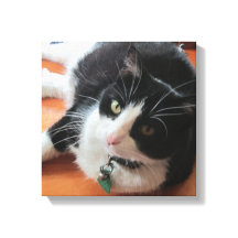 Smokey The Cat Canvas Print