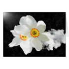 Smokey White Floral Cards