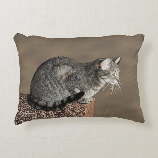 Smoky Gray Tabby Cat Accent Pillow (Front)