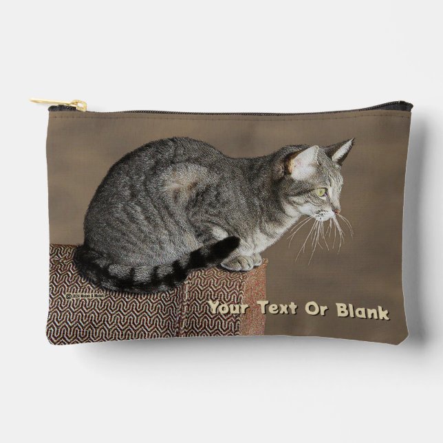 Smoky Gray Tabby Cat Accessory Pouch (Front)