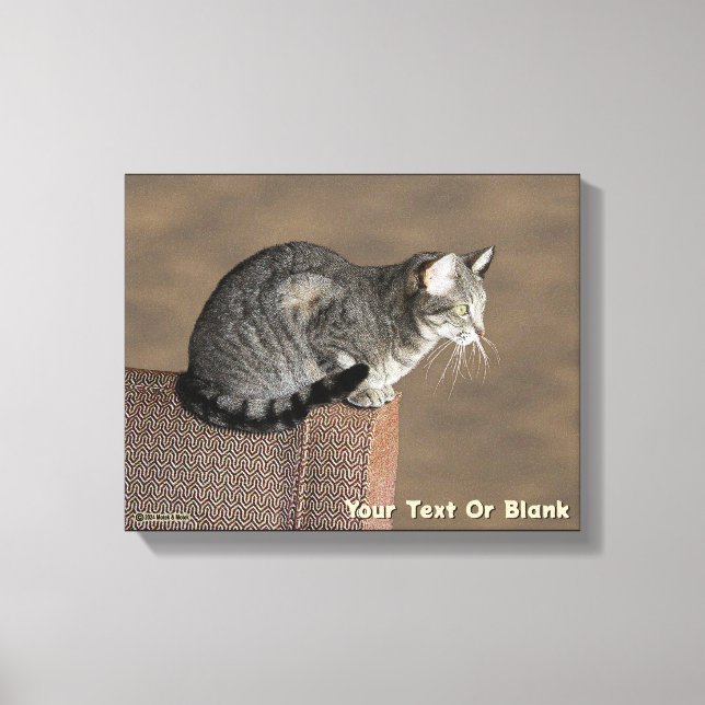 Smoky Gray Tabby Cat Canvas Print (Front)