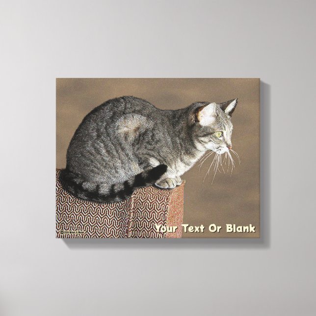 Smoky Gray Tabby Cat Canvas Print (Front)