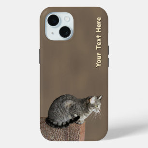 Smoky Gray Tabby Cat iPhone 15 Case