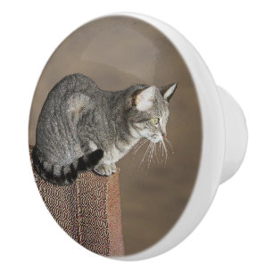 Smoky Gray Tabby Cat Ceramic Knob