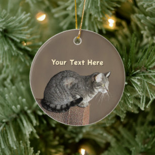 Smoky Gray Tabby Cat Ceramic Ornament