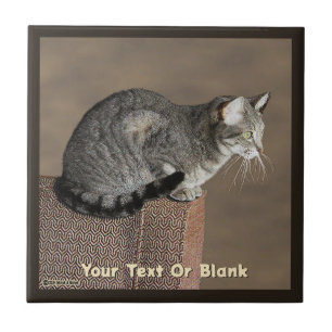 Smoky Gray Tabby Cat Ceramic Tile