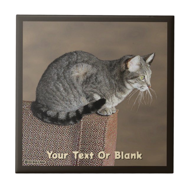 Smoky Gray Tabby Cat Ceramic Tile (Front)