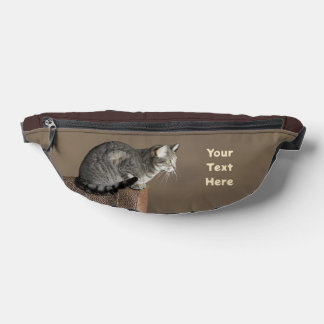 Smoky Gray Tabby Cat Fanny Pack