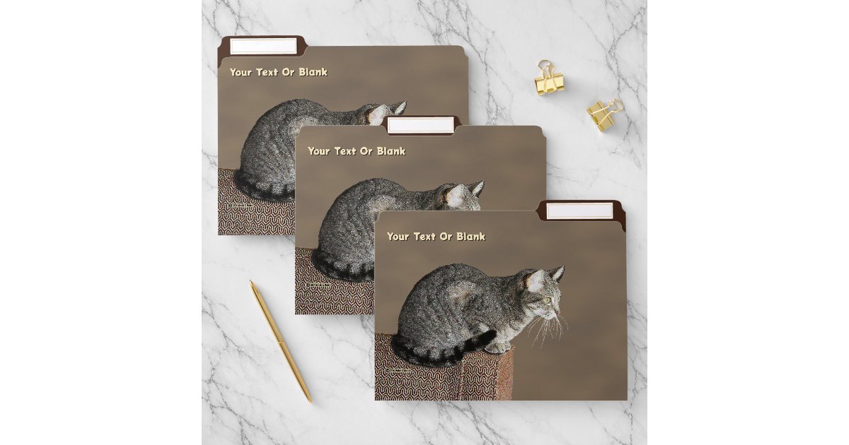 Smoky Gray Tabby Cat File Folder | Zazzle