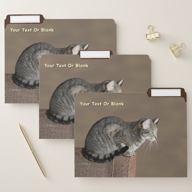 Smoky Gray Tabby Cat File Folder (Set)