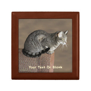 Smoky Gray Tabby Cat Gift Box