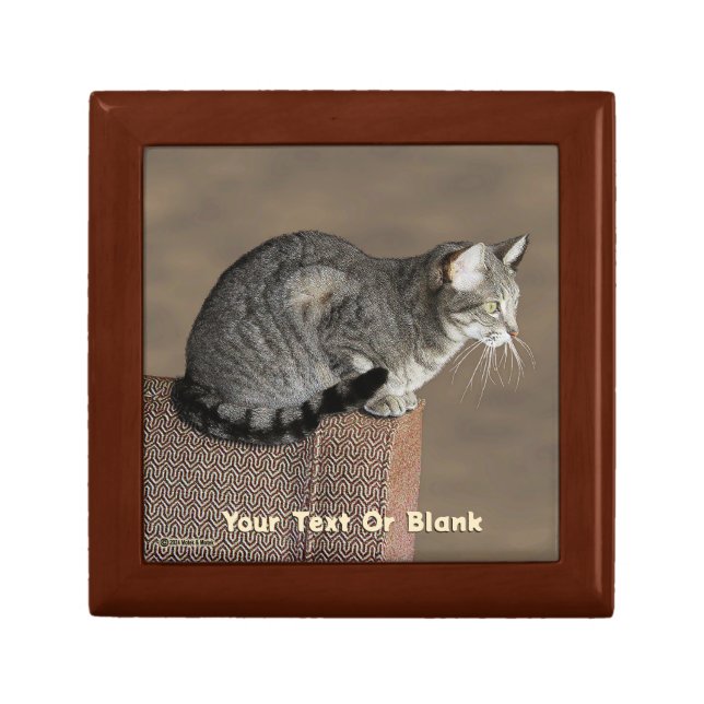 Smoky Gray Tabby Cat Gift Box (Front)