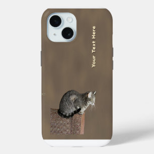 Smoky Gray Tabby Cat iPhone 15 Case