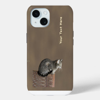 Smoky Gray Tabby Cat iPhone 15 Case