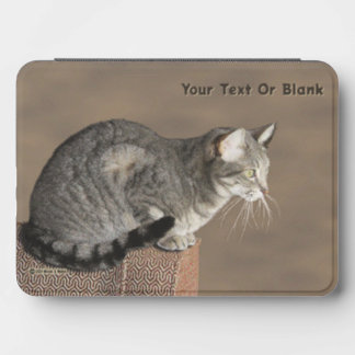 Smoky Gray Tabby Cat Kindle Cover