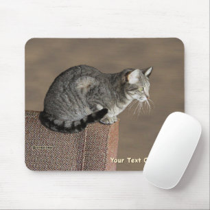 Smoky Gray Tabby Cat Mouse Pad