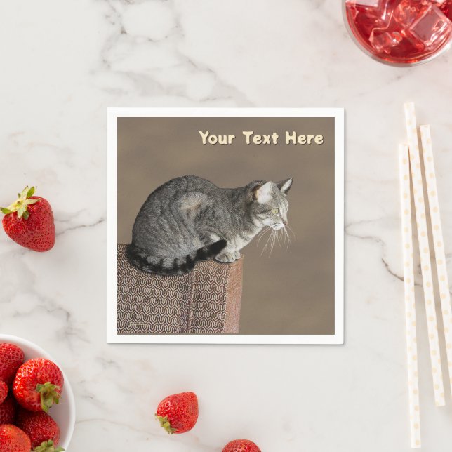 Smoky Gray Tabby Cat Napkins (Insitu)