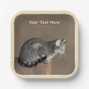 Smoky Gray Tabby Cat Paper Plates