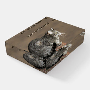 Smoky Gray Tabby Cat Paperweight