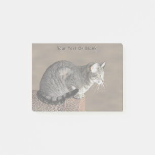 Smoky Gray Tabby Cat Post-it Notes