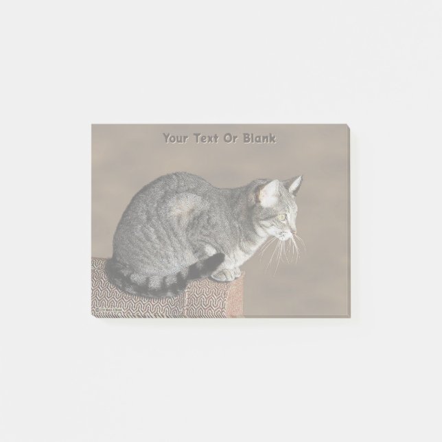 Smoky Gray Tabby Cat Post-it Notes (Front)