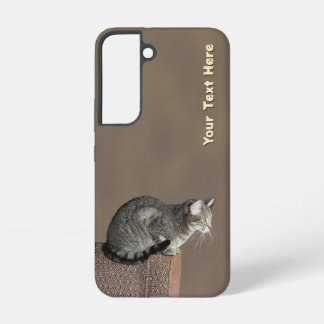 Smoky Gray Tabby Cat Samsung Galaxy S22 Case