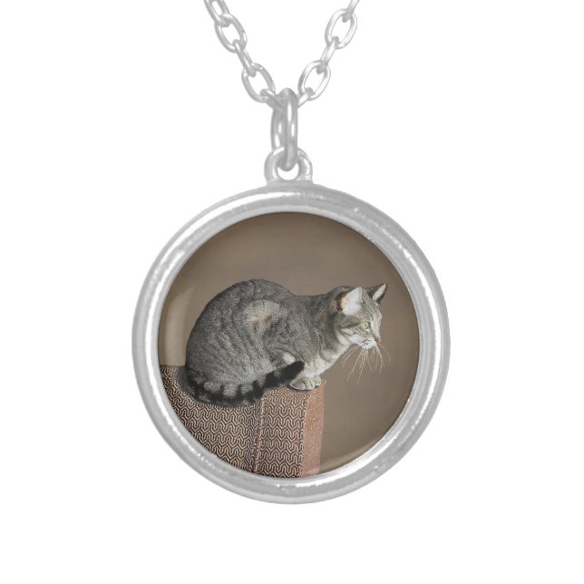 Smoky Gray Tabby Cat Silver Plated Necklace (Front)