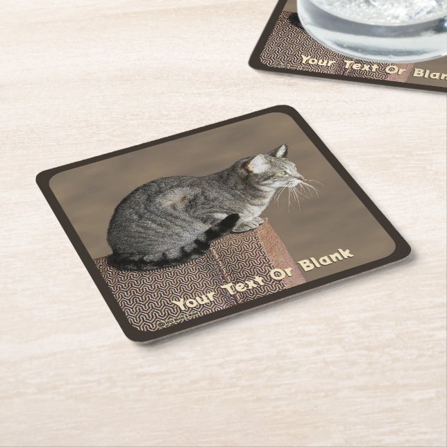 Smoky Gray Tabby Cat Square Paper Coaster (Angled)
