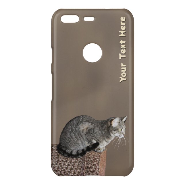 Smoky Gray Tabby Cat Uncommon Google Pixel Case (Back)