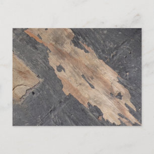 Smoky Gray Wood Postcard