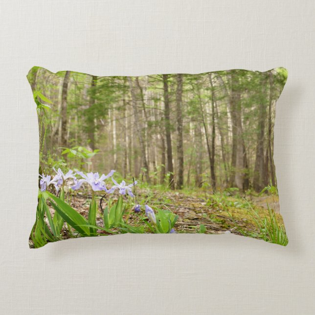 Smoky Mountain Trail in Spring Accent Pillow (Front)