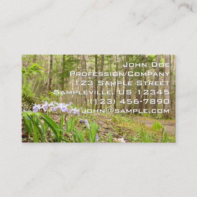 Smoky Mountain Trail in Spring Business Card (Front)
