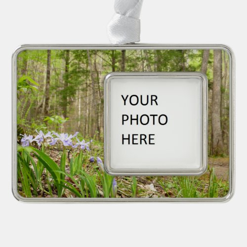 Smoky Mountain Trail in Spring Christmas Ornament