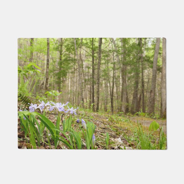 Smoky Mountain Trail in Spring Doormat (Front)