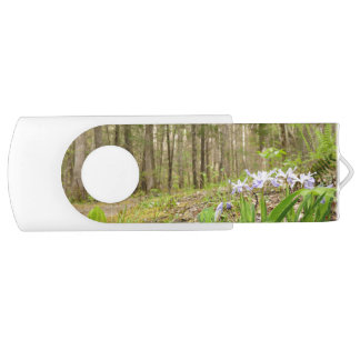 Smoky Mountain Trail in Spring Flash Drive