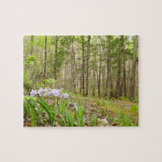 Smoky Mountain Trail in Spring Jigsaw Puzzle