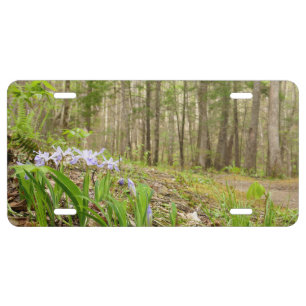Smoky Mountain Trail in Spring License Plate