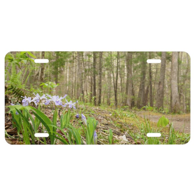Smoky Mountain Trail in Spring License Plate (Front)